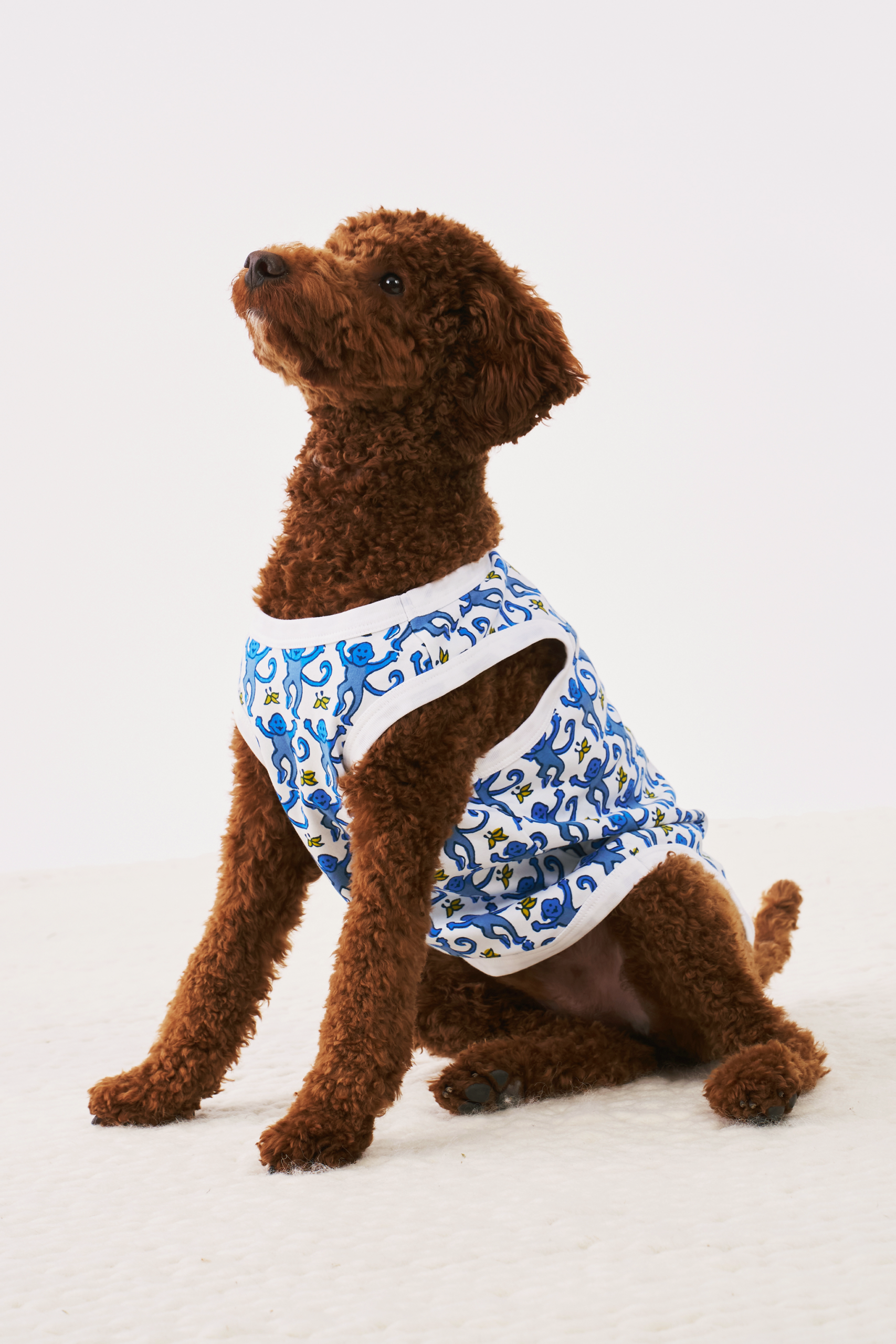 BlueMonkeyDogPajama-1